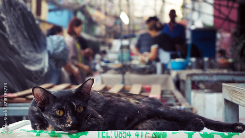 Black Cat Sleeping on the market. With a backdrop of people's purchasing power in the market.
