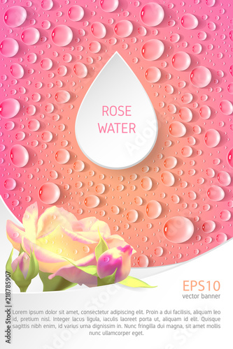 Rectangular pink banner with roses and drops. Template for advertising rose water and goods containing rose water.