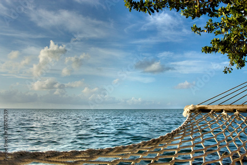Wallpaper Mural Paradise is a hammock overlooking blue ocean and sky in the Florida Keys. Torontodigital.ca
