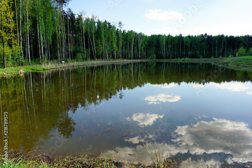 Fototapeta Naklejka Na Ścianę i Meble -  reflection of trees
