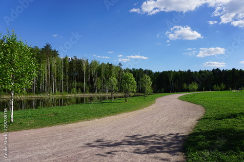 sunny sky and greenery