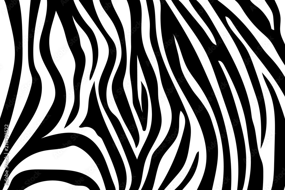 Zebra Stripes Pattern. Zebra print, animal skin, tiger stripes, abstract pattern, line background, fabric. Amazing hand drawn vector illustration. Poster, banner. Black and white artwork, monochrom Zebra Stripes Pattern. Zebra print, animal skin, tiger stripes, abstract pattern, line background, fabric. Amazing hand drawn vector illustration. Poster, banner. Black and white artwork, monochrom