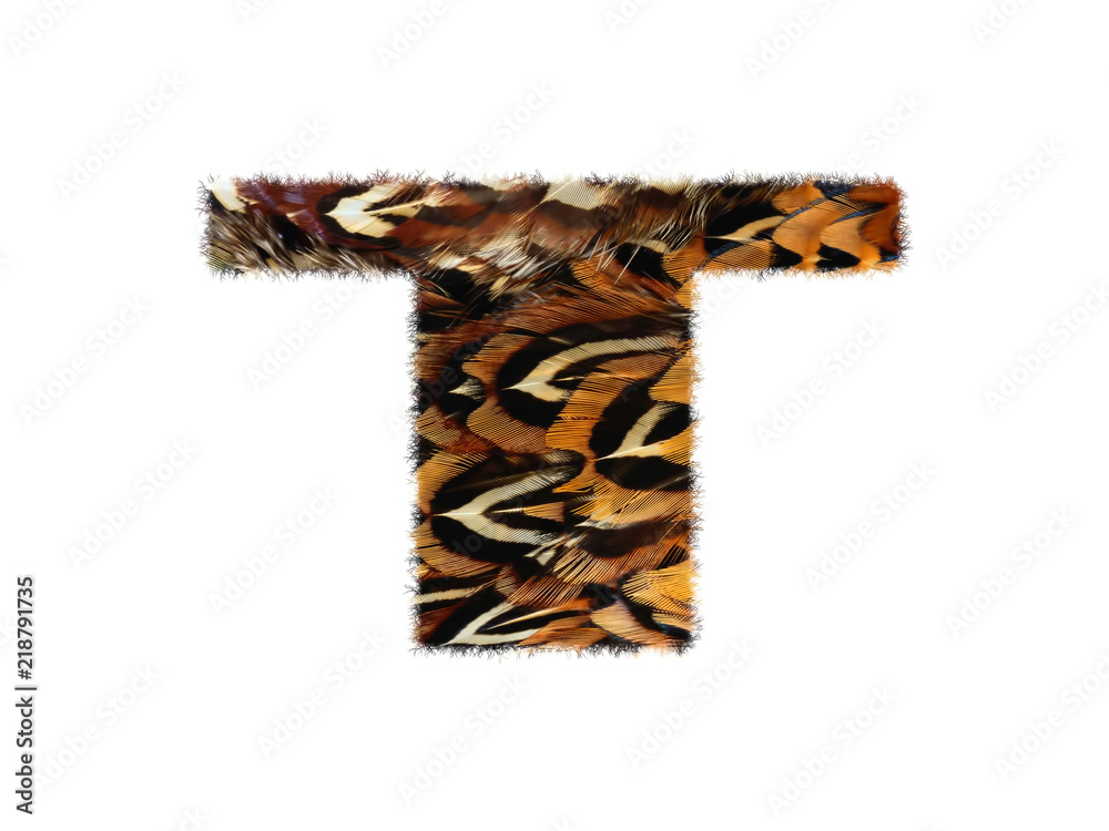 High resolution font made of pheasant feathers pattern isolated on white background. High resolution font made of pheasant feathers pattern isolated on white background.
