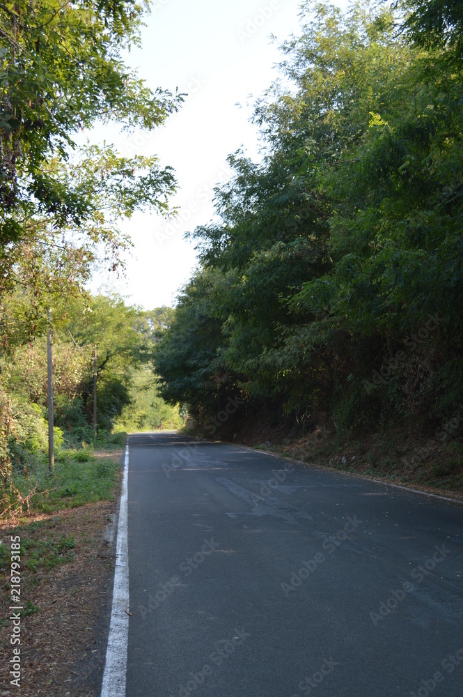 Fototapeta premium panorama