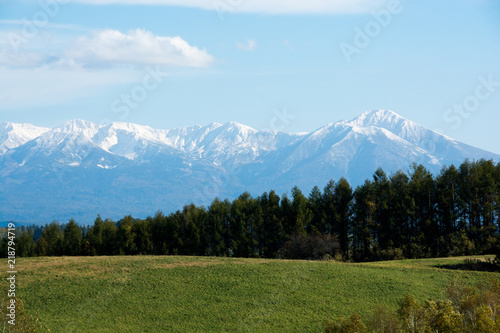 カラマツ林と冠雪の山並み 十勝岳連峰