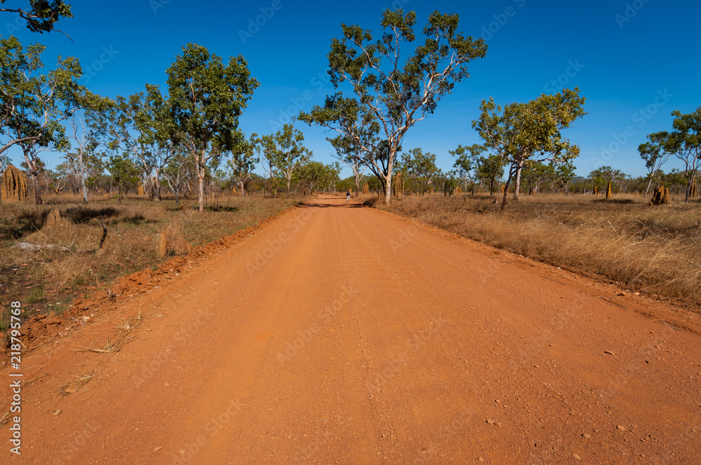 Bush road, Kakadu National Park, Northern Territories, Australia