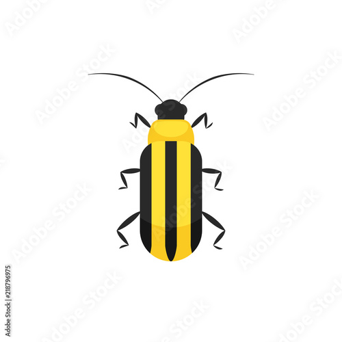 Cucumber Beetle Icon