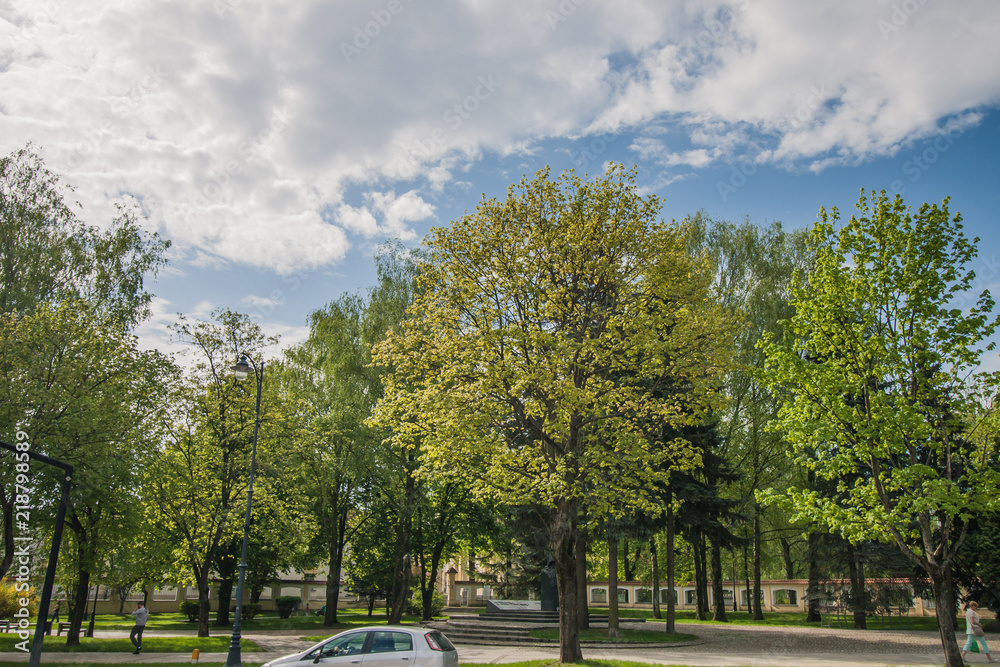 Bialystok, Poland, April 30, 2018: Trees in the streets of the city