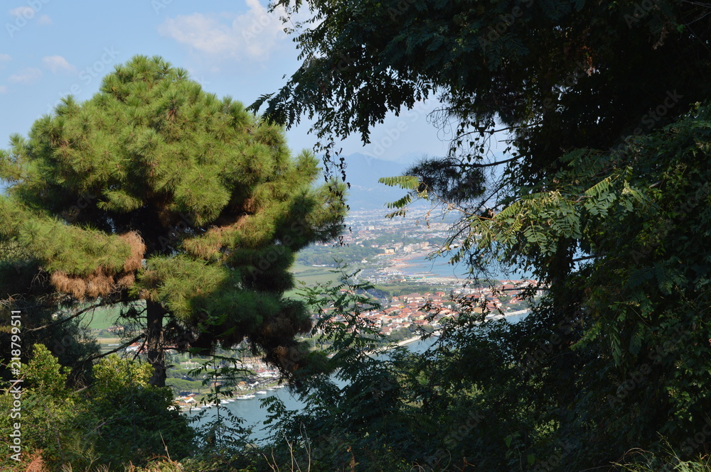 panorama panorama