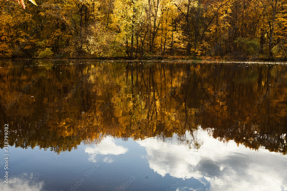 Forest lake in autumn. Calm nature background