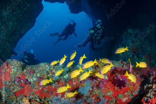 SCUBA divers exploring an underwater archway on a tropical coral reef