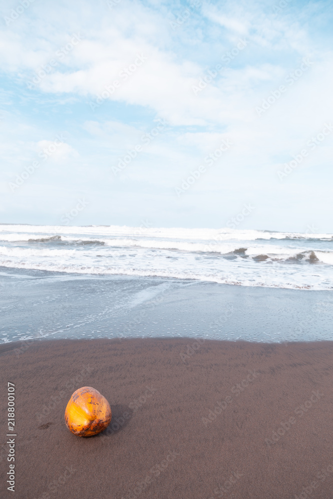 Naklejka premium Caribbean Sea in Tortuguero National Park of Costa Rica