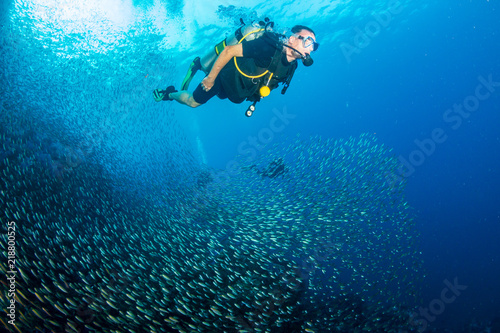 A SCUBA diver swimming through huge schools of tropical fish on a coral reef
