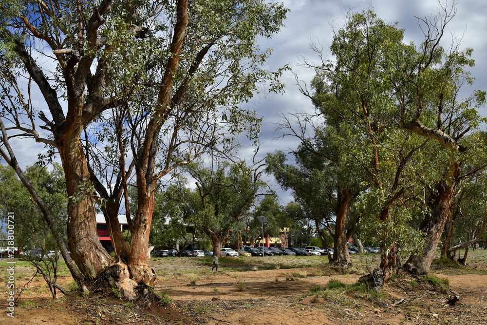 Australia, NT, Alice Springs Australia, NT, Alice Springs