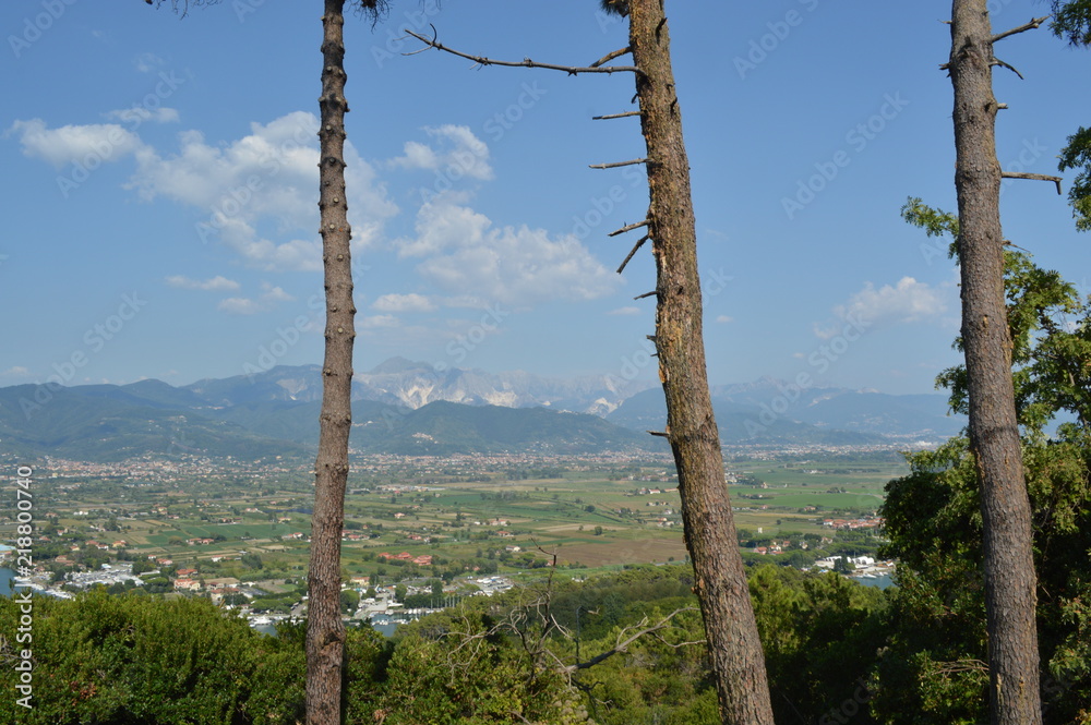 Fototapeta premium panorama
