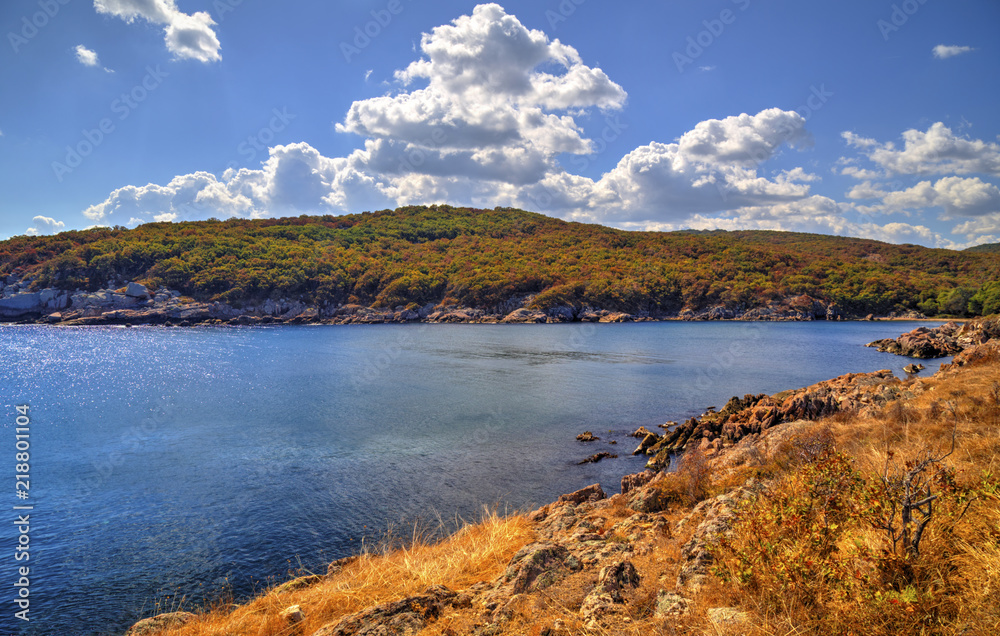 Beautiful landscape on rocky shore