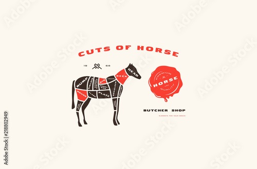 Stock vector horse cuts diagram in flat style