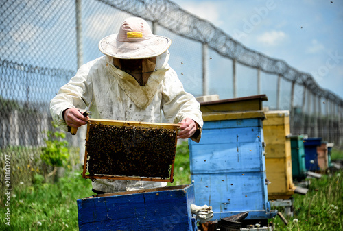 Beekeeper working collect honey © Сергей Орлов