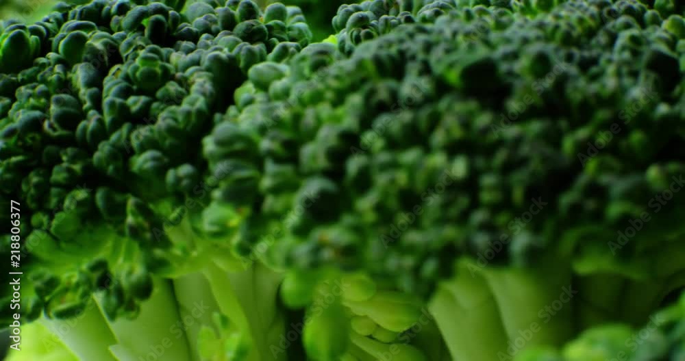 Details of a broccoli floret with a pan. Extremely macro shot with shallow DOF.