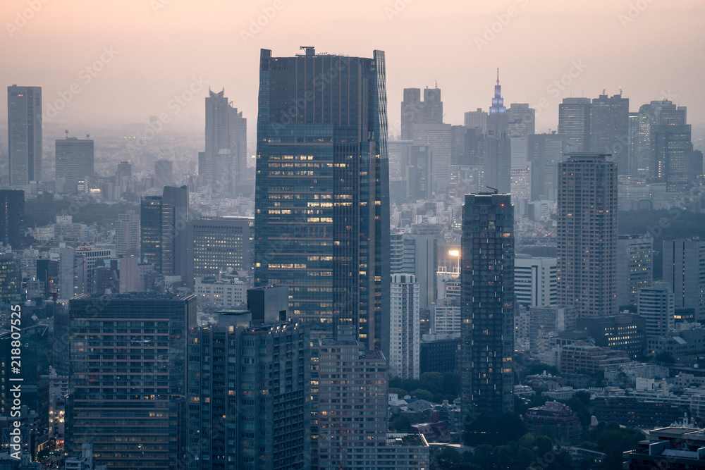 Fototapeta Panoramę miasta w mglisty zmierzch