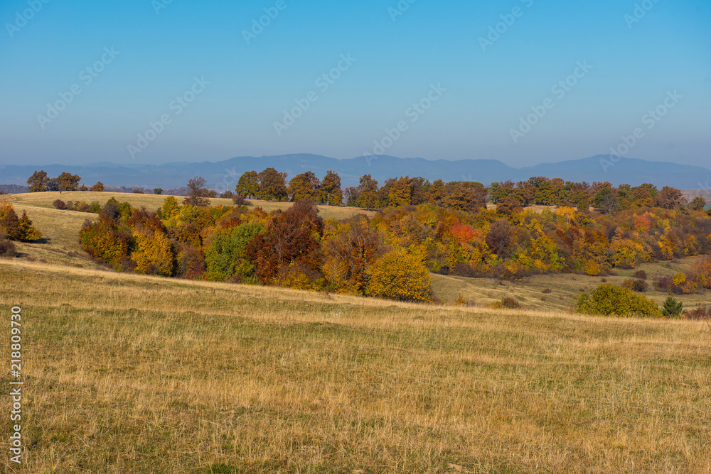 Autumn landscape, colorful forest