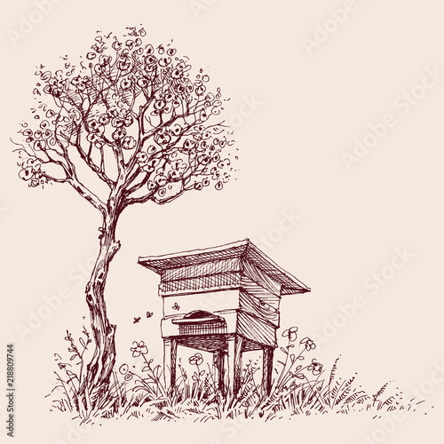 Beehive under a tree in bloom