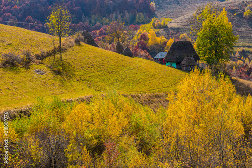 Autumn scene in the mountains