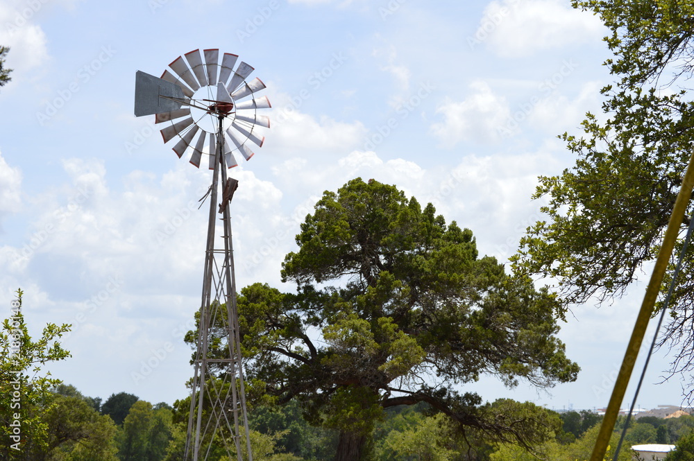 Fototapeta premium WindMill