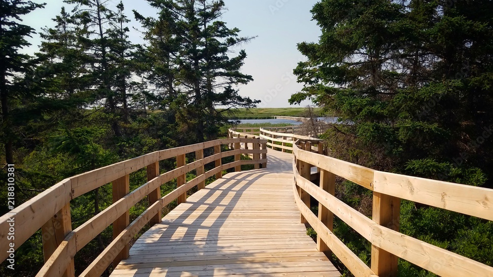 A floating boardwalk meanders through coastal woods, sand dunes and marsh while protecting the delicate ecosystem beneath.