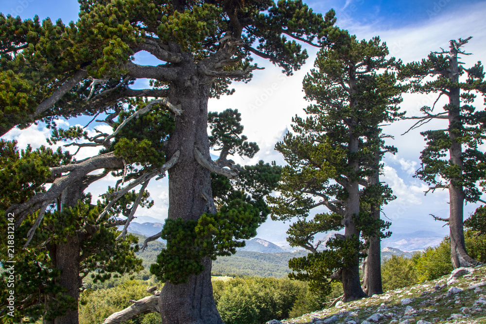 Fototapeta premium Garden of gods