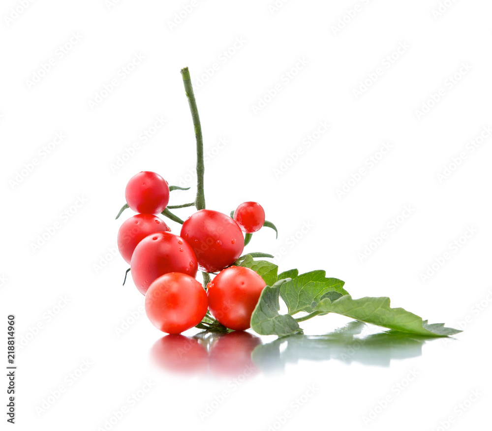 Ripe red fruits of cherry tomatoes on a green branch. White background isolated.
Ripe red fruits of cherry tomatoes on a green branch. White background isolated.