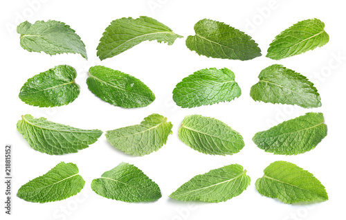 Set with fresh green mint leaves on white background © New Africa