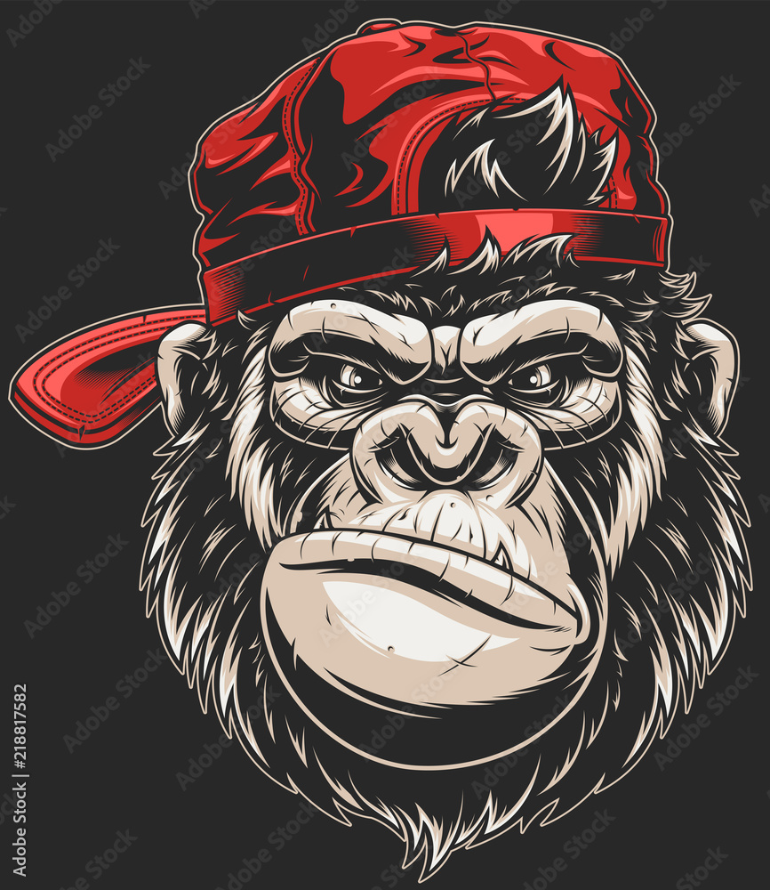 Obraz premium Głowa małpy w czapce z daszkiem