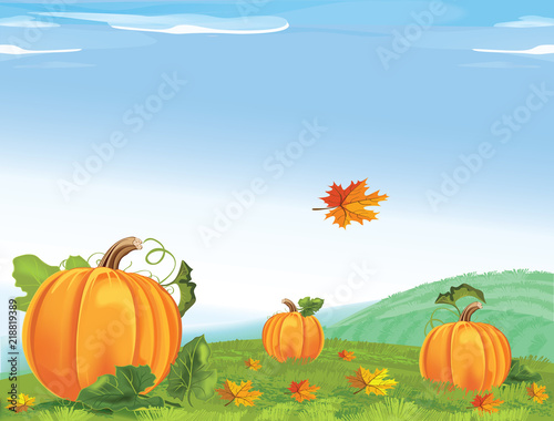 Vector illustration with pumpkin, fallen leaves  on the background of autumn rural landscape.