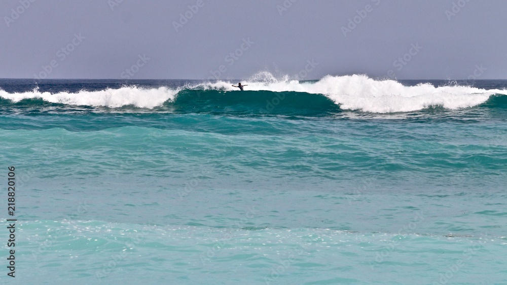 Fototapeta premium 1