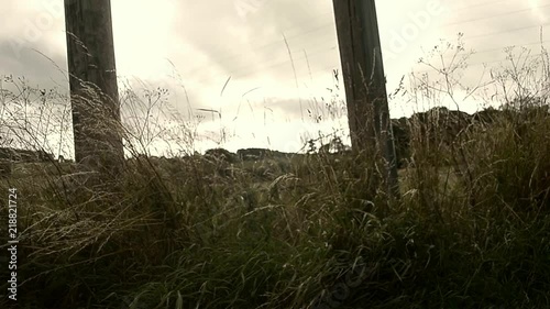 View of a field through gateposts photo