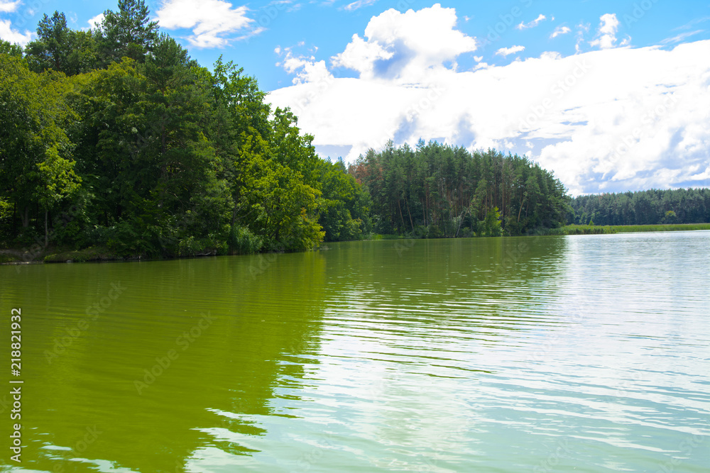 Fototapeta premium A beautiful image of landscape from the center of the river, surrounded by trees and reeds on the shore and distant horizon against the blue sky in clouds. Reflection, water, tourist destination