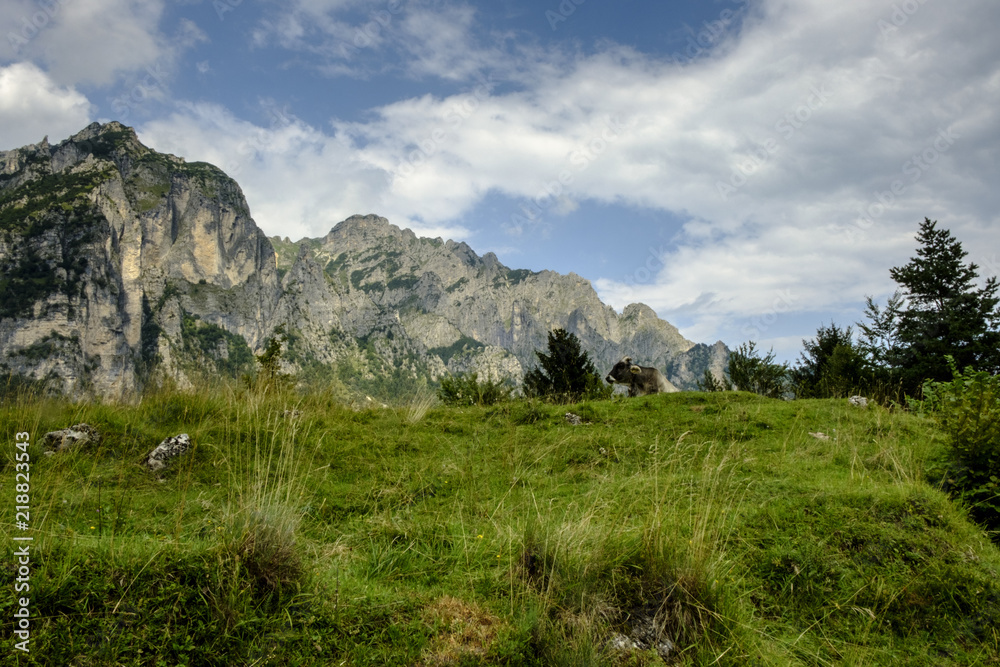 Panorama quota 1000 Panorama quota 1000