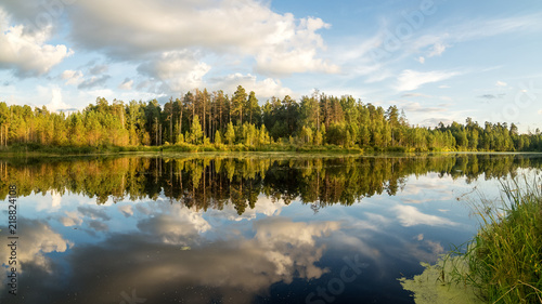 Панорама летнего вечернего пейзаж на Уральском озере с соснами на берегу, Россия, август