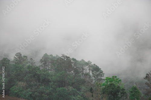 bannrabeangdao chiangmai © Theerasak