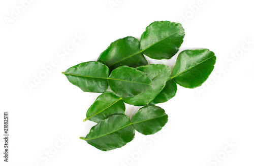 Bergamot leaf isolated on a white background.
