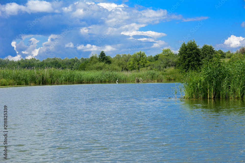 A beautiful image of landscape from the center of the river, surrounded by trees and reeds on the shore and distant horizon against the blue sky in clouds. Reflection, water, tourist destination A beautiful image of landscape from the center of the river, surrounded by trees and reeds on the shore and distant horizon against the blue sky in clouds. Reflection, water, tourist destination