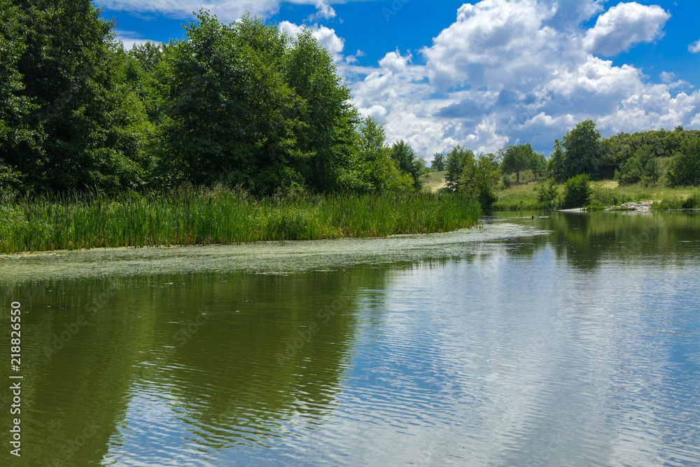 Fototapeta premium A beautiful image of landscape from the center of the river, surrounded by trees and reeds on the shore and distant horizon against the blue sky in clouds. Reflection, water, tourist destination