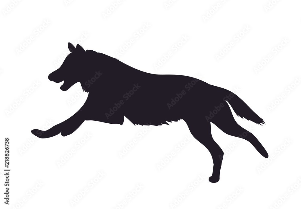 wolf runs, image silhouette, vector