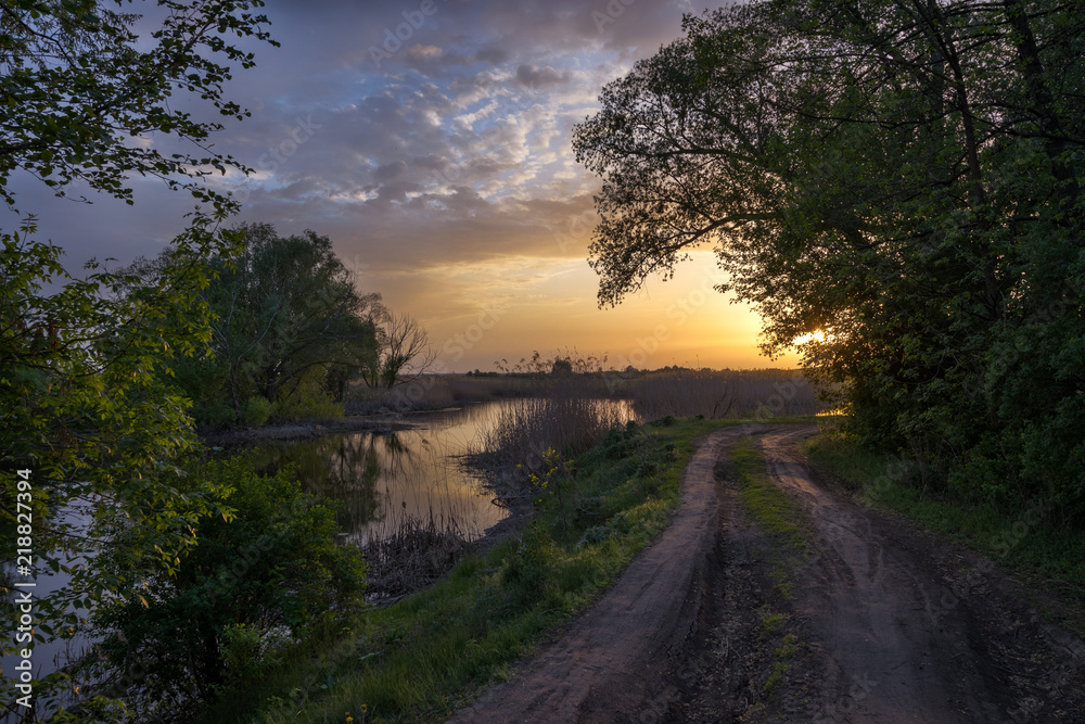 Fototapeta premium Sunset in Golden tones