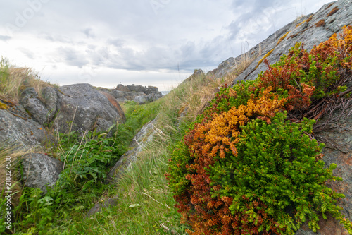 Lofoten_view_#25