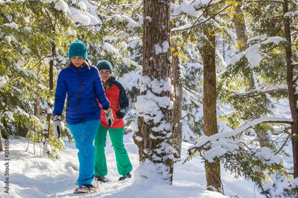 Pair of female friends snowshoeing in forest.