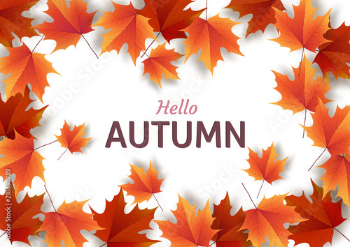 Autumn leaves. Bright colourful autumn oak leaves. Template for 