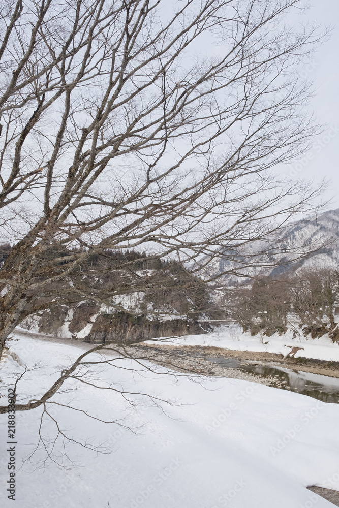 beautiful winter landscape on a sunny day beautiful winter landscape on a sunny day