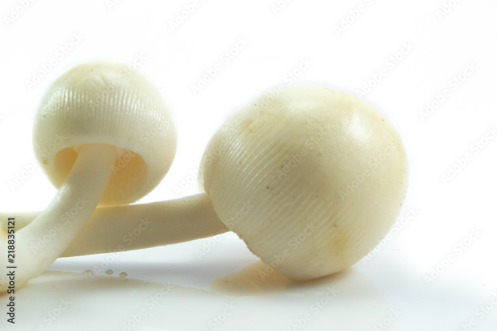 Fototapeta premium Thai mushroom isolated on white background